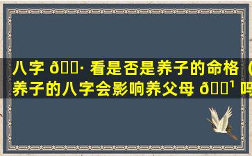 八字 🌷 看是否是养子的命格（养子的八字会影响养父母 🌹 吗）